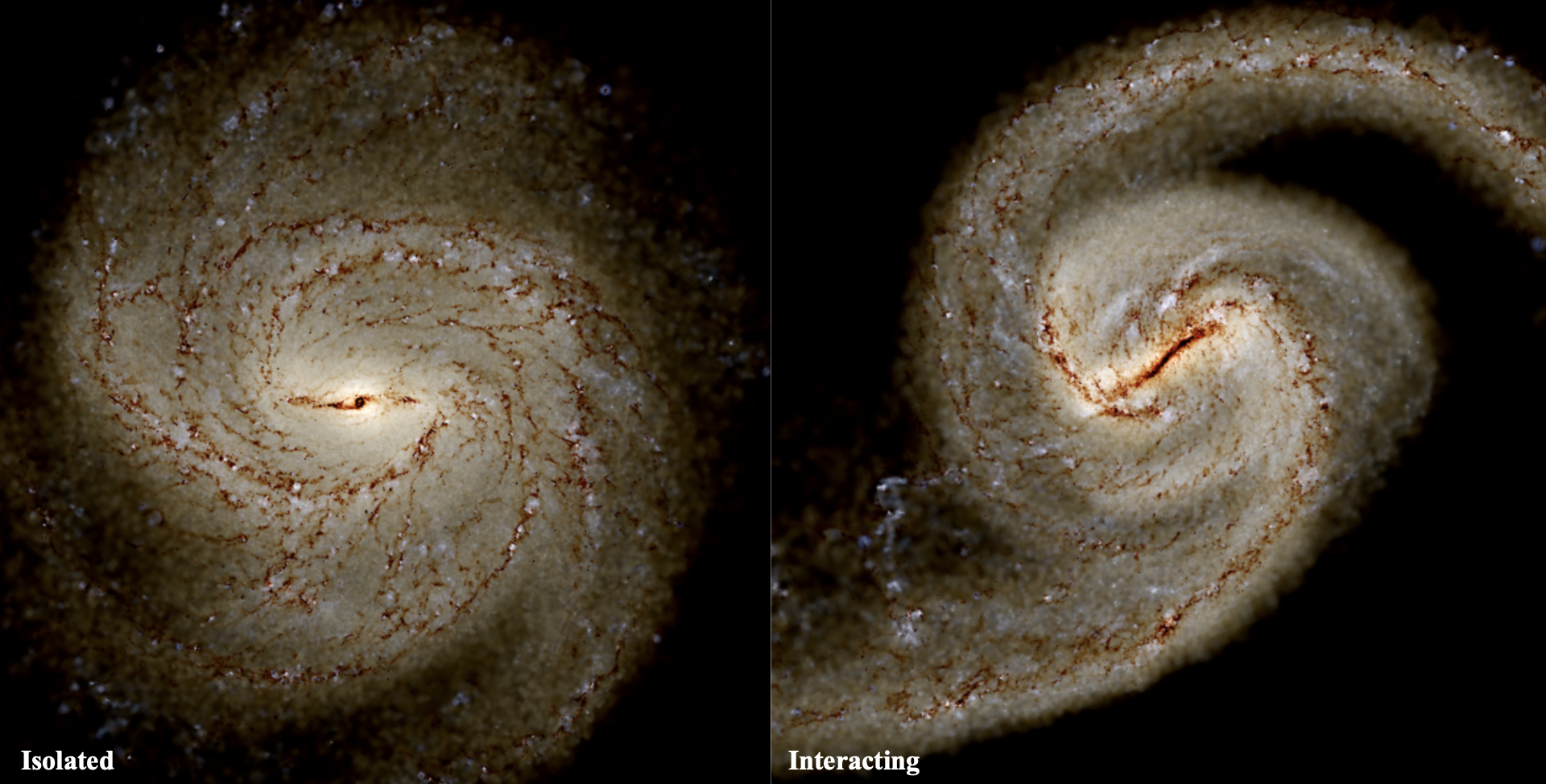 Synthetic observation image of a two barred-spiral galaxies, on isolated and one interacting.