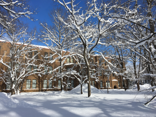 The University of Hokkaido museum building with trees in front covered in snow